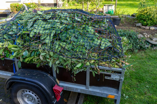 Best Dumpster Rental Services  in Llington, MI